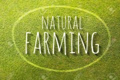 24714379-Natural-farming-on-green-grass-poster-illustration-of-farm-fresh-Stock-Illustration.jpg