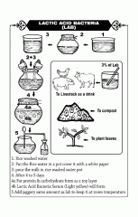 lab diagram master cho.gif