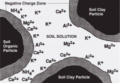 exchangable and solution K in soil by Penn State AG.jpg