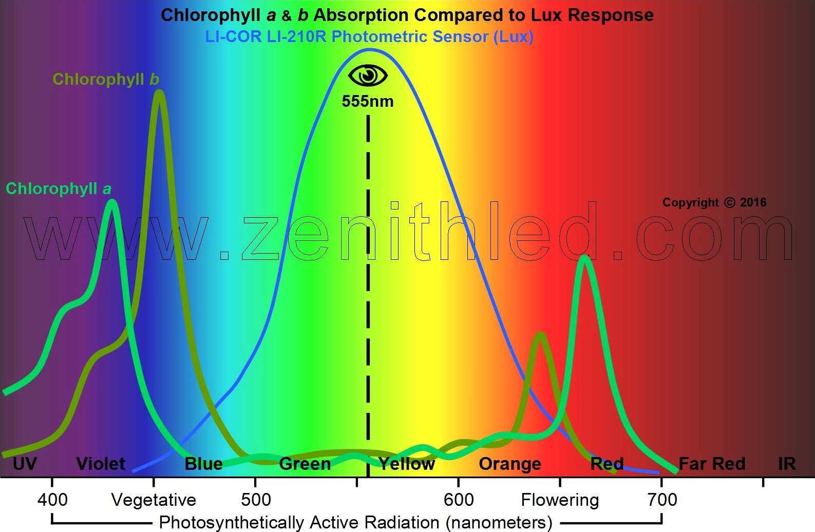 Blog-01-Chlorophyll-a-b-Compared-to-Lux-01.2.jpg