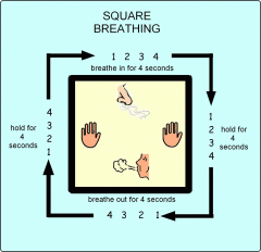 Square breathing diagram.jpg